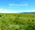 Снимка 3 — Парцел в София, с. Белчински бани