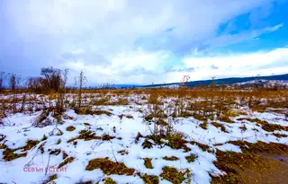 Парцел в София, с. Бели Искър