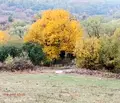Снимка 2 — Парцел в София, с. Белопопци