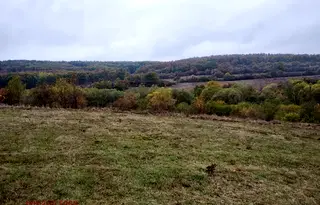 Парцел в София, с. Белопопци