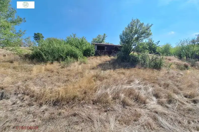 Plot in област София, Bogiovci