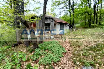 Парцел в София, с. Царичина