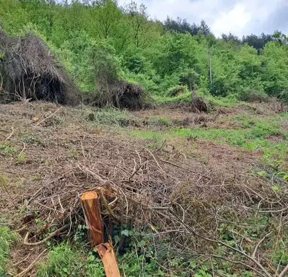 Photo 2 — Plot in област София, Cerovo