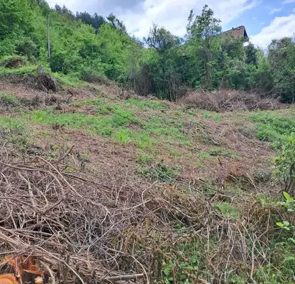 Photo 3 — Plot in област София, Cerovo