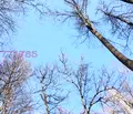Снимка 2 — Парцел в София, с. Чавдар