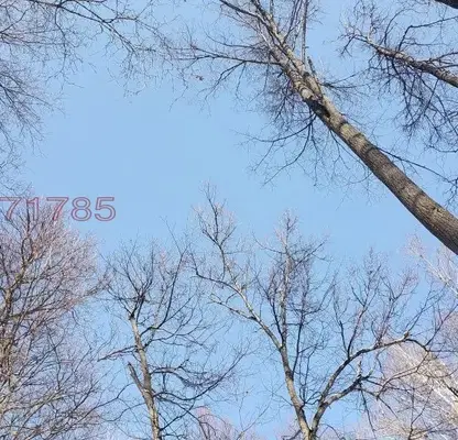 Photo 2 — Plot in област София, Chavdar