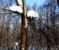 Снимка 3 — Парцел в София, с. Чавдар