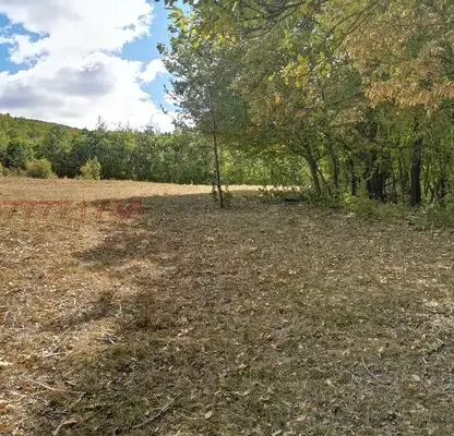 Photo 4 — Plot in област София, Chavdar