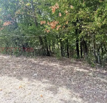 Photo 5 — Plot in област София, Chavdar
