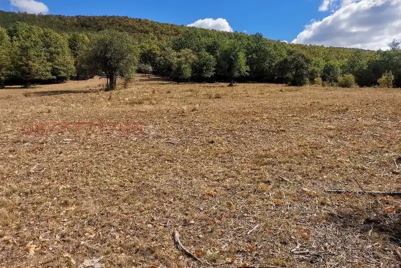 Plot in област София, Chavdar