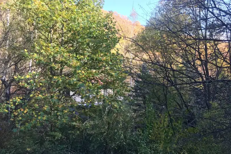 Парцел в София, с. Чурек