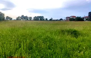 Парцел в София, с. Доганово