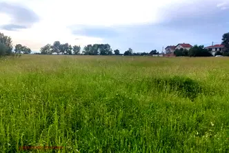 Парцел в София, с. Доганово