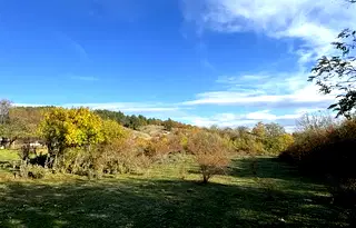 Парцел в София, с. Драговищица