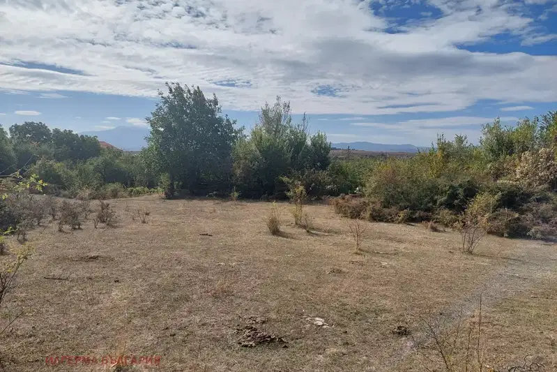 Plot in област София, Dragovishtica