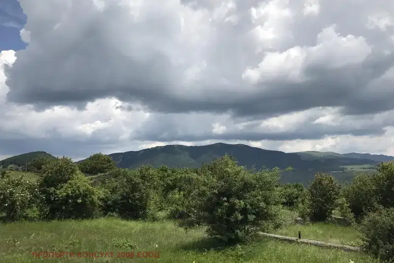 Парцел в София, с. Дружево