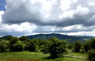 Парцел в София, с. Дружево