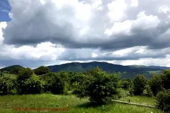 Парцел в София, с. Дружево