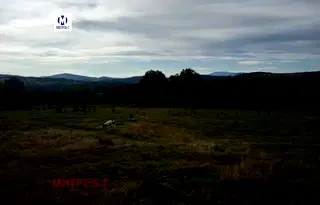 Парцел в София, с. Дръмша