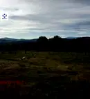 Парцел в София, с. Дръмша