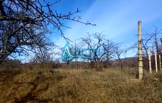 Парцел в София, с. Елешница