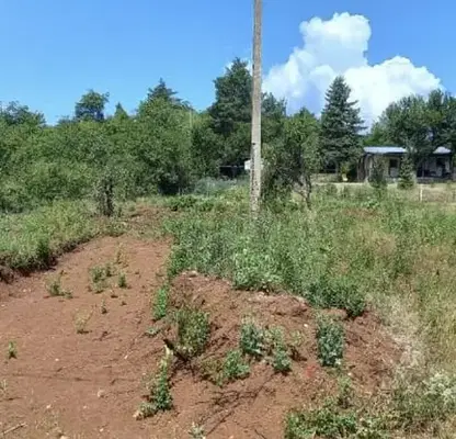 Photo 3 — Plot in област София, Eleshnica