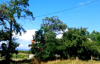 Парцел в София, с. Гара Елин Пелин