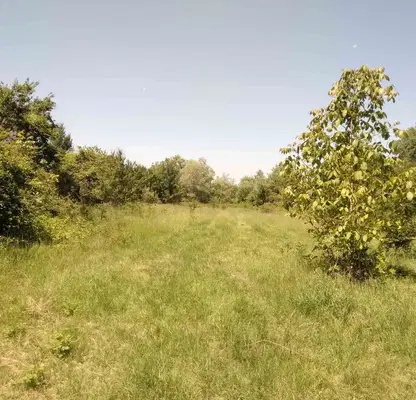 Photo 3 — Plot in област София, Golyanovci