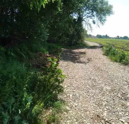 Photo 4 — Plot in област София, Golyanovci