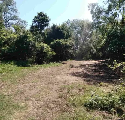 Photo 5 — Plot in област София, Golyanovci