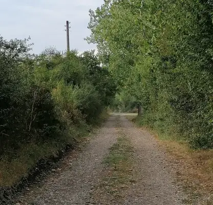 Photo 3 — Plot in област София, Golyanovci