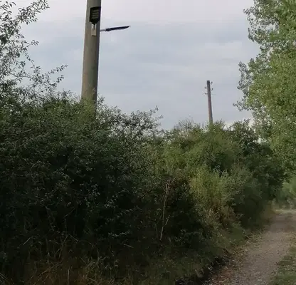 Photo 4 — Plot in област София, Golyanovci