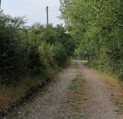 Photo 5 — Plot in област София, Golyanovci