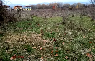 Парцел в София, с. Голяновци