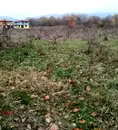 Парцел в София, с. Голяновци