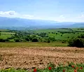 Снимка 3 — Парцел в София, с. Горна Василица