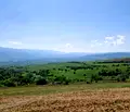 Снимка 4 — Парцел в София, с. Горна Василица