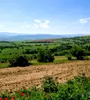 Парцел в София, с. Горна Василица