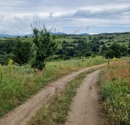 Снимка 4 — Парцел в София, с. Горна Василица