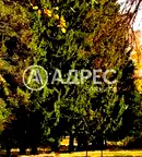Парцел в София, с. Горни Окол