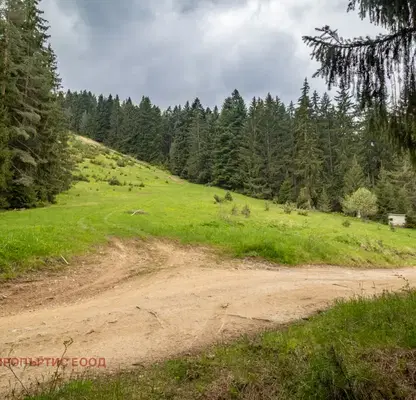Photo 3 — Plot in област София, Govedarci