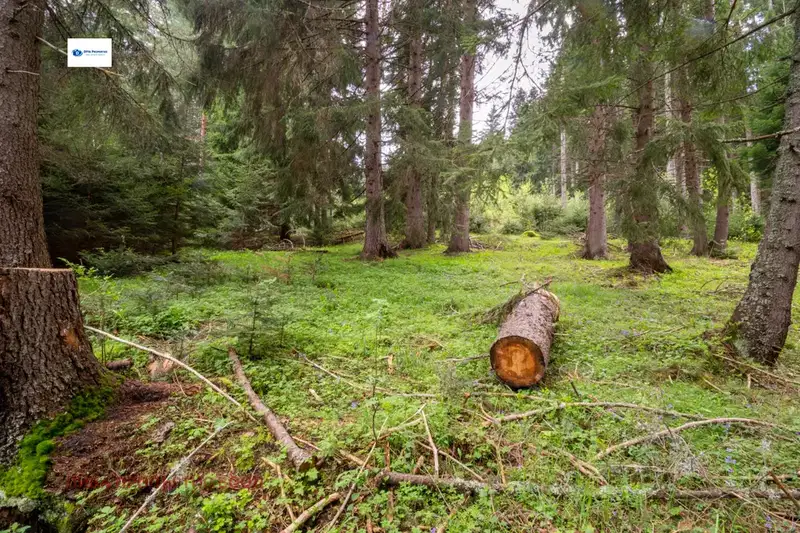 Plot in област София, Govedarci