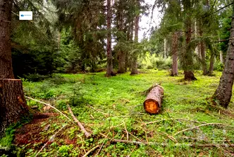 Парцел в София, с. Говедарци