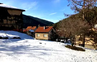 Парцел в София, с. Говедарци