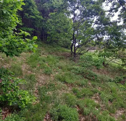 Photo 2 — Plot in област София, Gucal