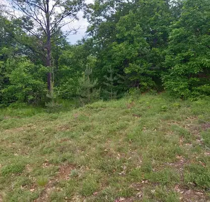Photo 3 — Plot in област София, Gucal