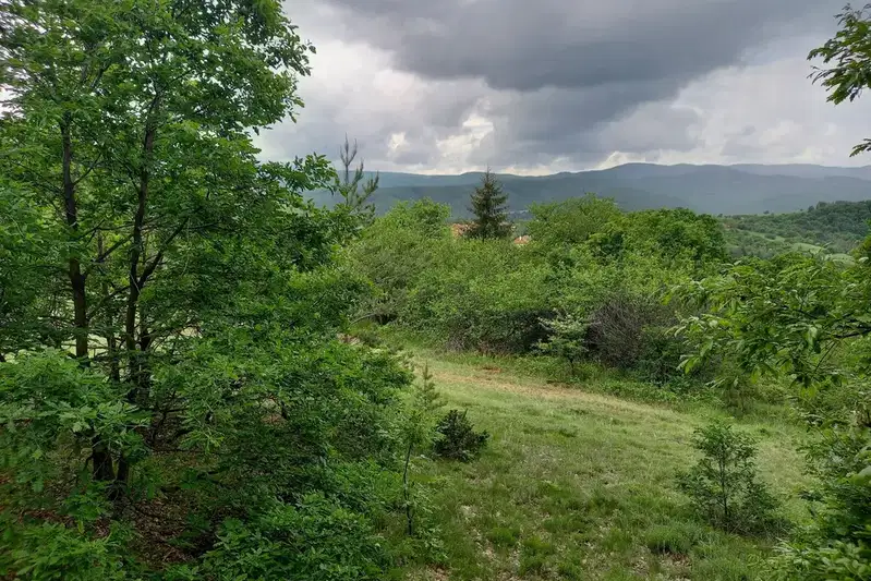 Plot in област София, Gucal