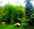 Снимка 3 — Парцел в София, с. Гурмазово