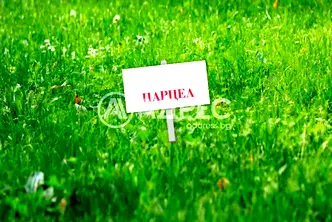 Парцел в София, с. Гурмазово