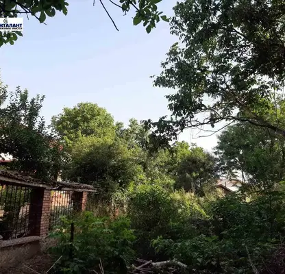 Photo 3 — Plot in област София, Herakovo